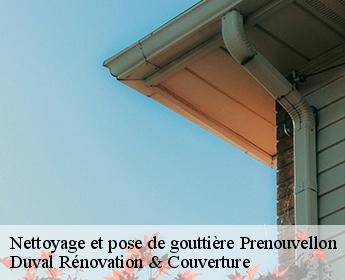 Nettoyage et pose de gouttière