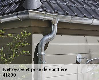 Nettoyage et pose de gouttière 41800