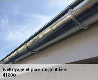 Nettoyage et pose de gouttière