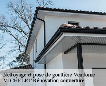 Nettoyage et pose de gouttière 41100