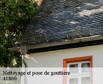 Nettoyage et pose de gouttière
