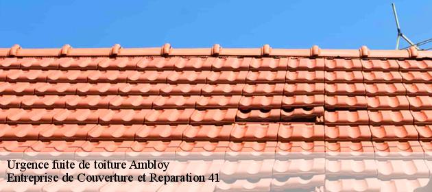 Urgence fuite de toiture  ambloy-41310 Entreprise de Couverture et Reparation 41