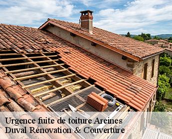 Urgence fuite de toiture  41100