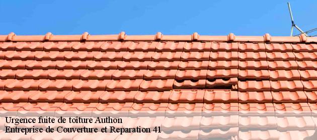 Urgence fuite de toiture  authon-41310 Entreprise de Couverture et Reparation 41