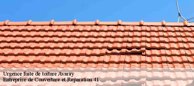 Urgence fuite de toiture  avaray-41500 Entreprise de Couverture et Reparation 41