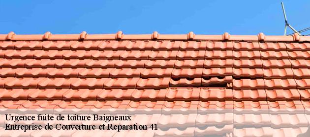 Urgence fuite de toiture  baigneaux-41290 Entreprise de Couverture et Reparation 41