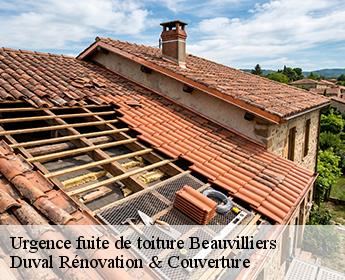 Urgence fuite de toiture 41290