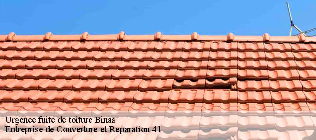 Urgence fuite de toiture  binas-41240 Entreprise de Couverture et Reparation 41