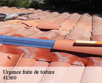 Urgence fuite de toiture  41360