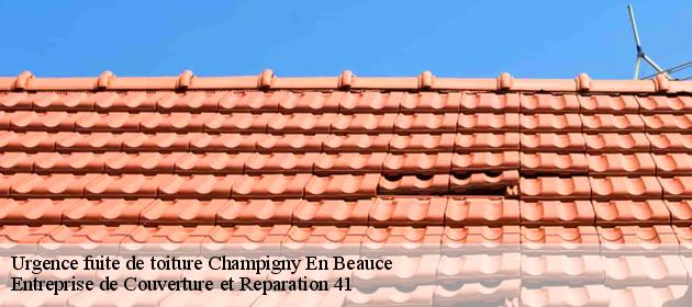 Urgence fuite de toiture  champigny-en-beauce-41330 Entreprise de Couverture et Reparation 41