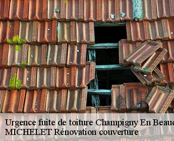 Urgence fuite de toiture  champigny-en-beauce-41330 Entreprise de Couverture et Reparation 41