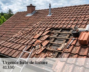 Urgence fuite de toiture 41330