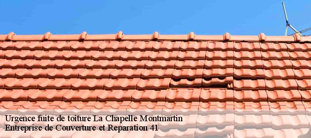 Urgence fuite de toiture  la-chapelle-montmartin-41320 Entreprise de Couverture et Reparation 41