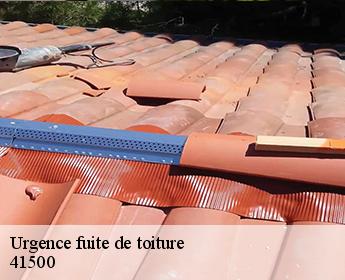 Urgence fuite de toiture 41500