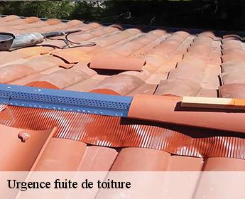 Urgence fuite de toiture 41500