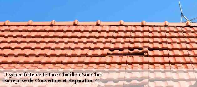 Urgence fuite de toiture  chatillon-sur-cher-41130 Entreprise de Couverture et Reparation 41