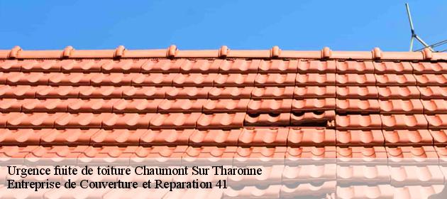 Urgence fuite de toiture  chaumont-sur-tharonne-41600 Entreprise de Couverture et Reparation 41