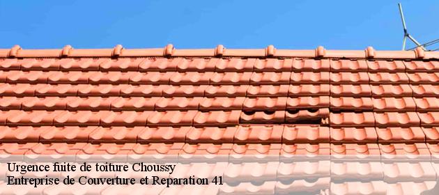 Urgence fuite de toiture  choussy-41700 Entreprise de Couverture et Reparation 41