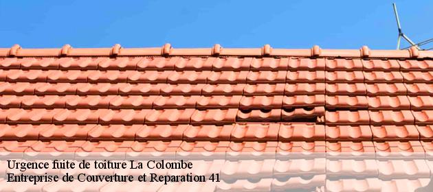 Urgence fuite de toiture  la-colombe-41160 Entreprise de Couverture et Reparation 41