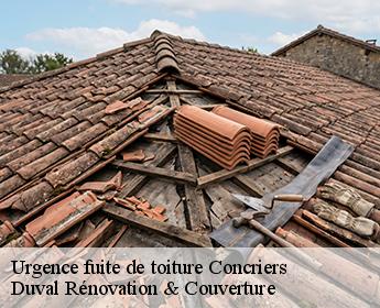 Urgence fuite de toiture concriers-41370 Duval Rénovation & Couverture