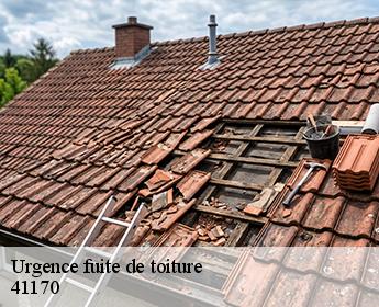 Urgence fuite de toiture 41170