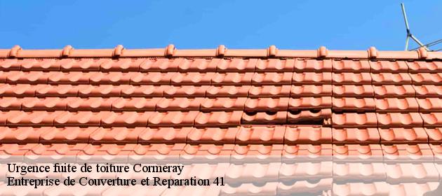 Urgence fuite de toiture  cormeray-41120 Entreprise de Couverture et Reparation 41