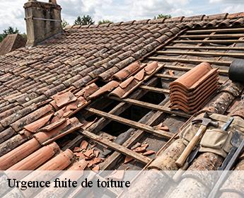 Urgence fuite de toiture 41700