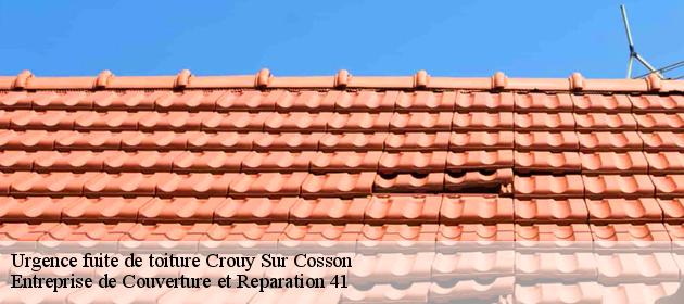 Urgence fuite de toiture  crouy-sur-cosson-41220 Entreprise de Couverture et Reparation 41