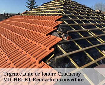 Urgence fuite de toiture 41100