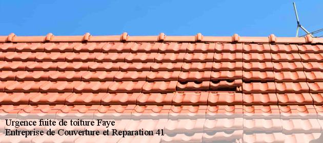Urgence fuite de toiture  faye-41100 Entreprise de Couverture et Reparation 41