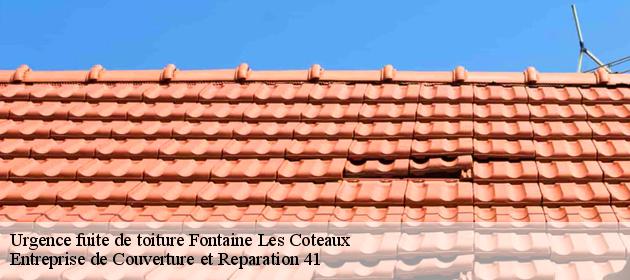 Urgence fuite de toiture  fontaine-les-coteaux-41800 Entreprise de Couverture et Reparation 41