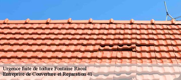Urgence fuite de toiture  fontaine-raoul-41270 Entreprise de Couverture et Reparation 41