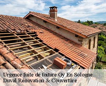 Urgence fuite de toiture 41230