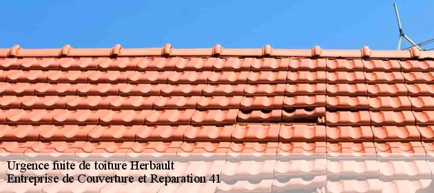 Urgence fuite de toiture  herbault-41190 Entreprise de Couverture et Reparation 41