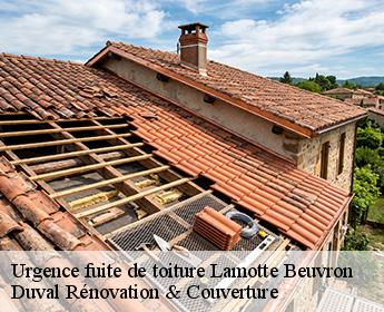 Urgence fuite de toiture 41600