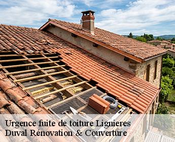 Urgence fuite de toiture 41160