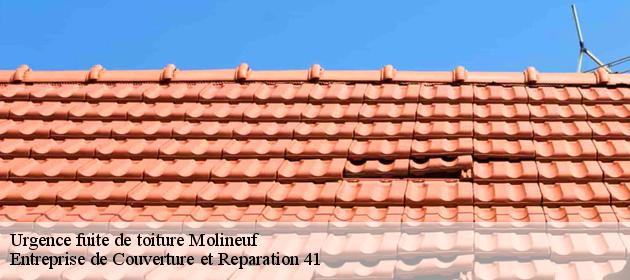 Urgence fuite de toiture  molineuf-41190 Entreprise de Couverture et Reparation 41