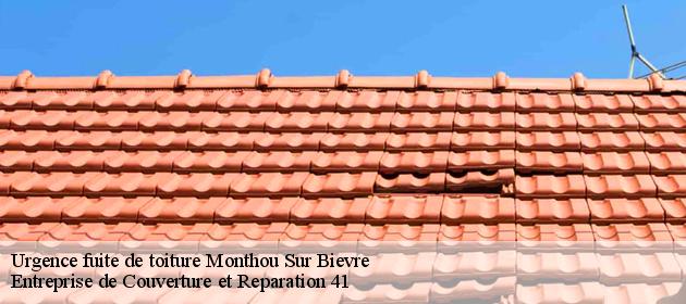 Urgence fuite de toiture  monthou-sur-bievre-41120 Entreprise de Couverture et Reparation 41