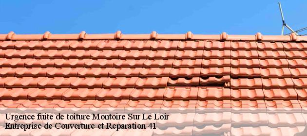 Urgence fuite de toiture  montoire-sur-le-loir-41800 Entreprise de Couverture et Reparation 41