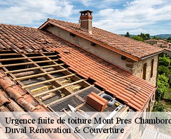 Urgence fuite de toiture 41250
