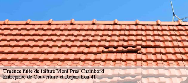 Urgence fuite de toiture  mont-pres-chambord-41250 Entreprise de Couverture et Reparation 41