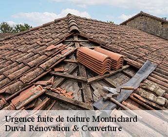 Urgence fuite de toiture montrichard-41400 Duval Rénovation & Couverture