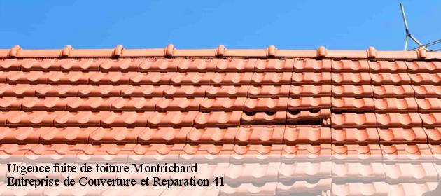 Urgence fuite de toiture  montrichard-41400 Entreprise de Couverture et Reparation 41