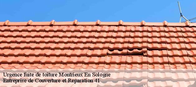 Urgence fuite de toiture  montrieux-en-sologne-41210 Entreprise de Couverture et Reparation 41