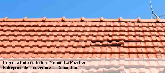 Urgence fuite de toiture  nouan-le-fuzelier-41600 Entreprise de Couverture et Reparation 41