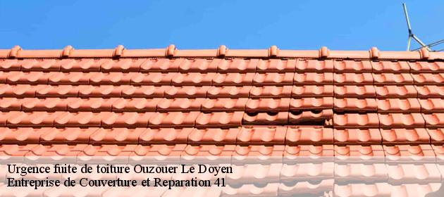 Urgence fuite de toiture  ouzouer-le-doyen-41160 Entreprise de Couverture et Reparation 41