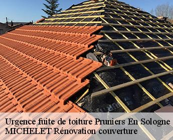 Urgence fuite de toiture 41200