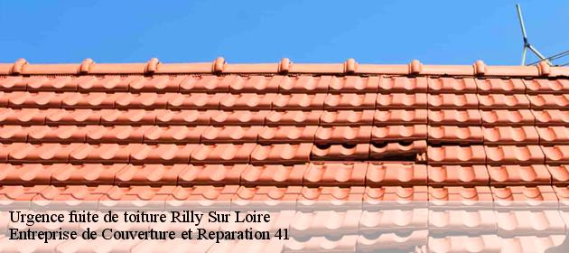 Urgence fuite de toiture  rilly-sur-loire-41150 Entreprise de Couverture et Reparation 41