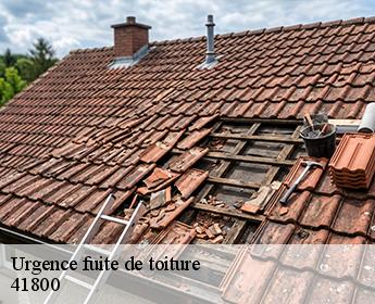 Urgence fuite de toiture 41800