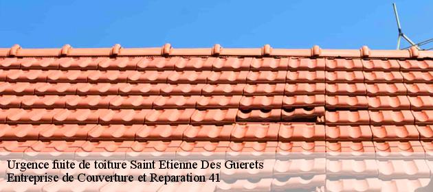 Urgence fuite de toiture  saint-etienne-des-guerets-41190 Entreprise de Couverture et Reparation 41